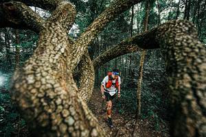 BIB: 
                            <button type="button" onclick="openModal(25393283)" class="btn btn-primary btn-sm float-right btn-popup" data-toggle="modal" data-target=".modal-high-quality">
                        <i class="fas fa-shopping-cart"></i> Add to Cart
                    </button>
                                            <button type="button" onclick="isThisMe(25393283, true)" class="btn btn-success btn-sm float-right btn-popup btn-isme hidden" data-toggle="tooltip" data-placement="bottom" title="นี่คือรูปของคุณใช่ไหม คลิกที่นี่เพื่อเอาเข้าอัลบั้ม">
                        <i class="fas fa-plus"></i> Add to album
                    </button>
                    <button type="button" onclick="isThisMe(25393283, false)" class="btn btn-warning btn-sm float-right btn-popup btn-isnotme hidden">
                        <i class="fas fa-ban"></i> Remove from album
                    </button>